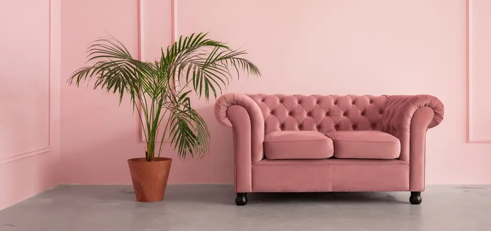 canapé chesterfield