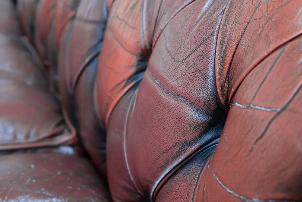 canapé Chesterfield